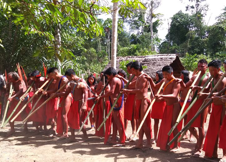 povos indigenas