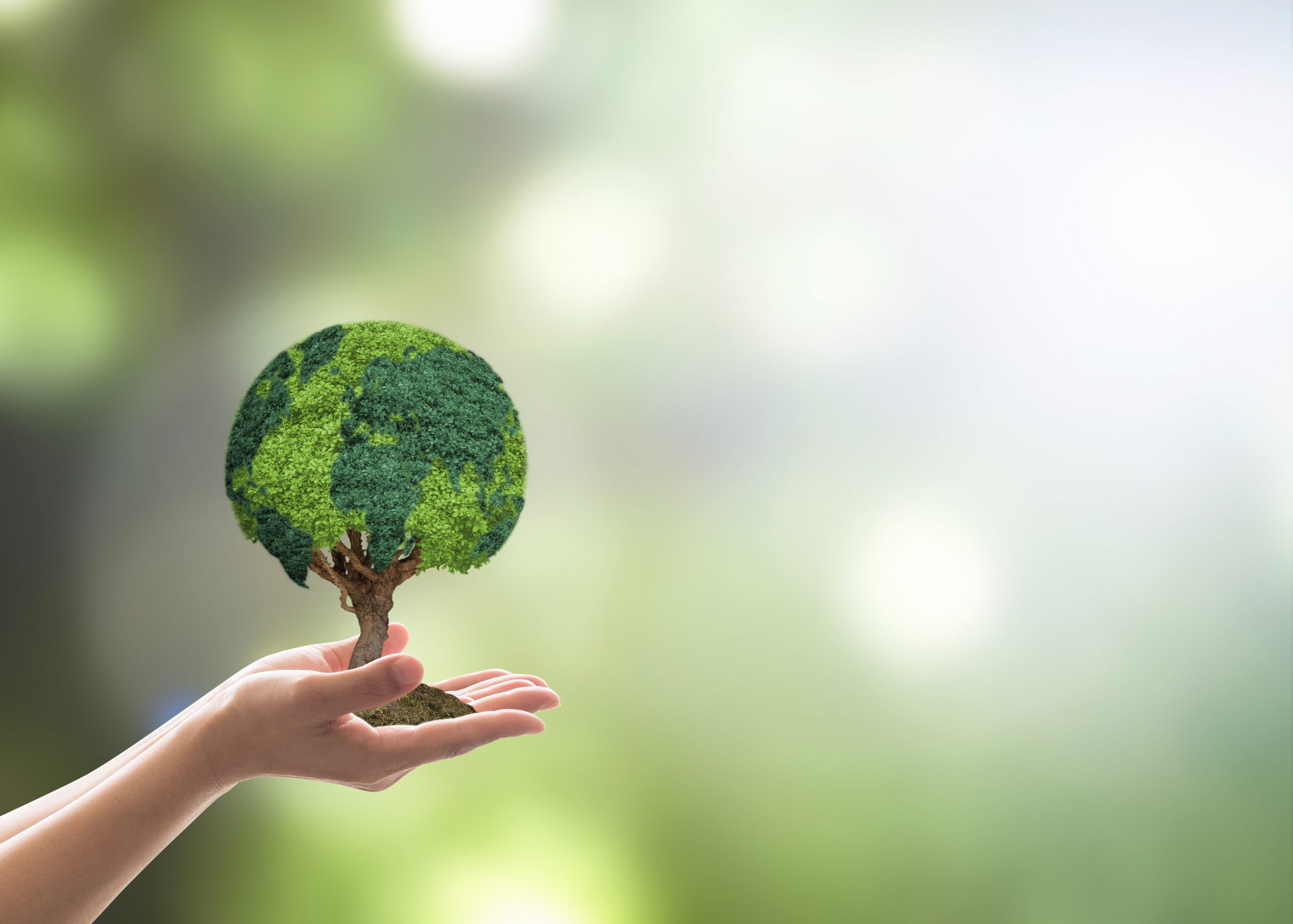 Tree globe growing on volunteer's hand for earth day, sustainable environment protection campaign and natural conservation concept