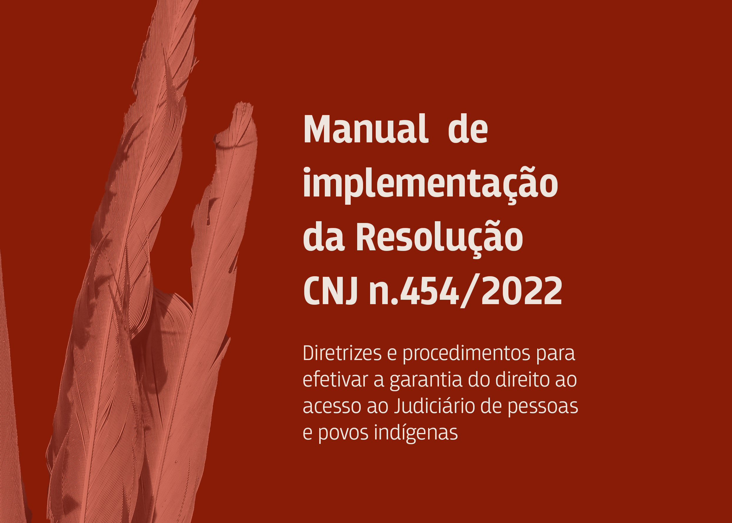 Manual-povos-indigenas