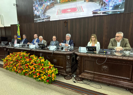 encontro renejum e copedem capa